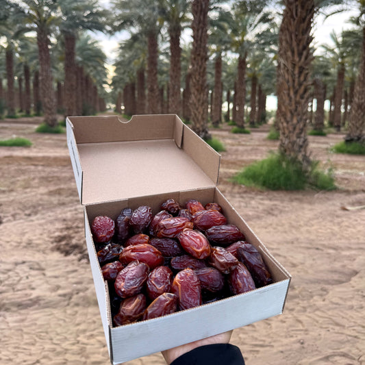 Organic Pitted Medjool Dates