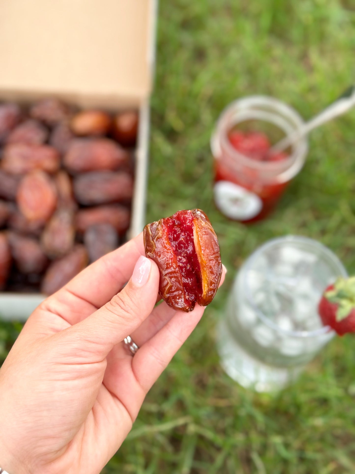 Organic Pitted Medjool Dates